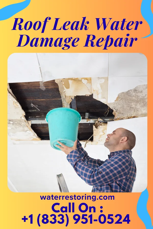 Roof Leak Water Damage Repair in Charleston, IL