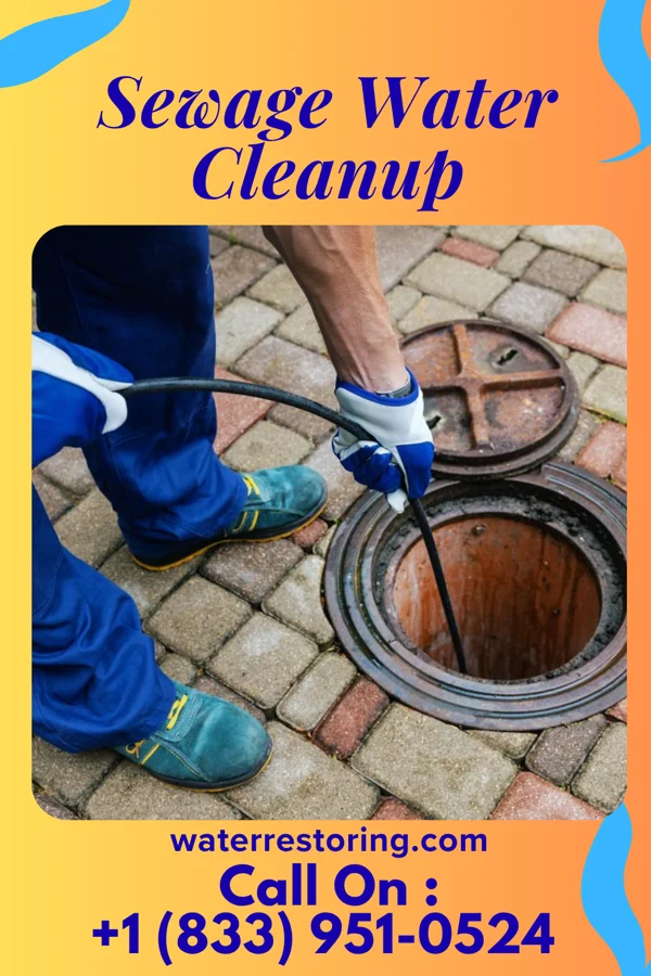 Sewage Water Cleanup in Charleston, IL